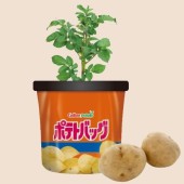 Calbee: Thương hiệu khoai tây chiên ra mắt bộ dụng cụ trồng khoai tây